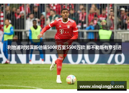 利物浦对努涅斯估值5000万至5500万欧 那不勒斯有意引进